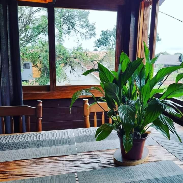 Hotel Refugio Jardim Mariana Canela Zewnętrze zdjęcie